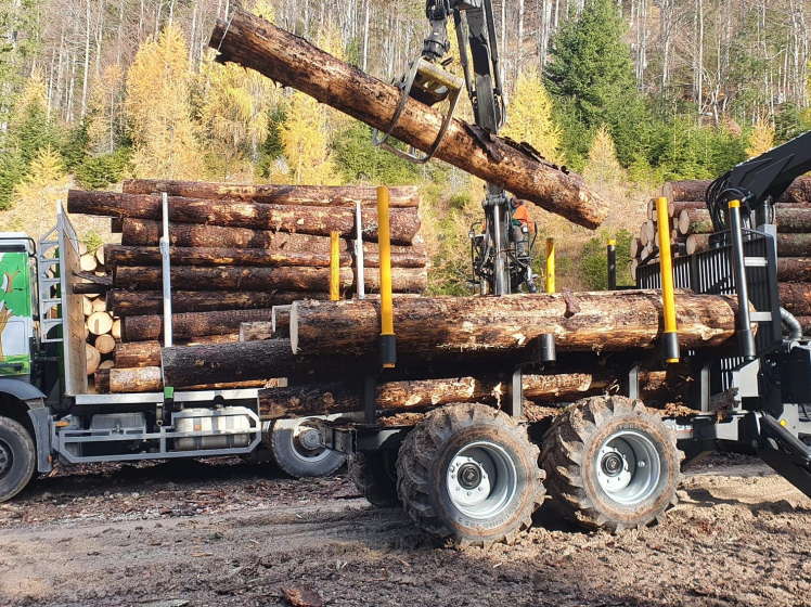 Acquisto del legno su una strada per camion