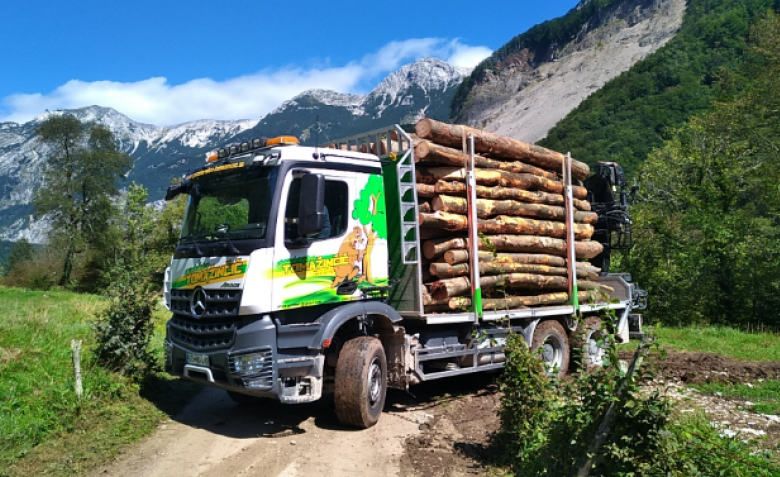 Camion forestale Camion forestale